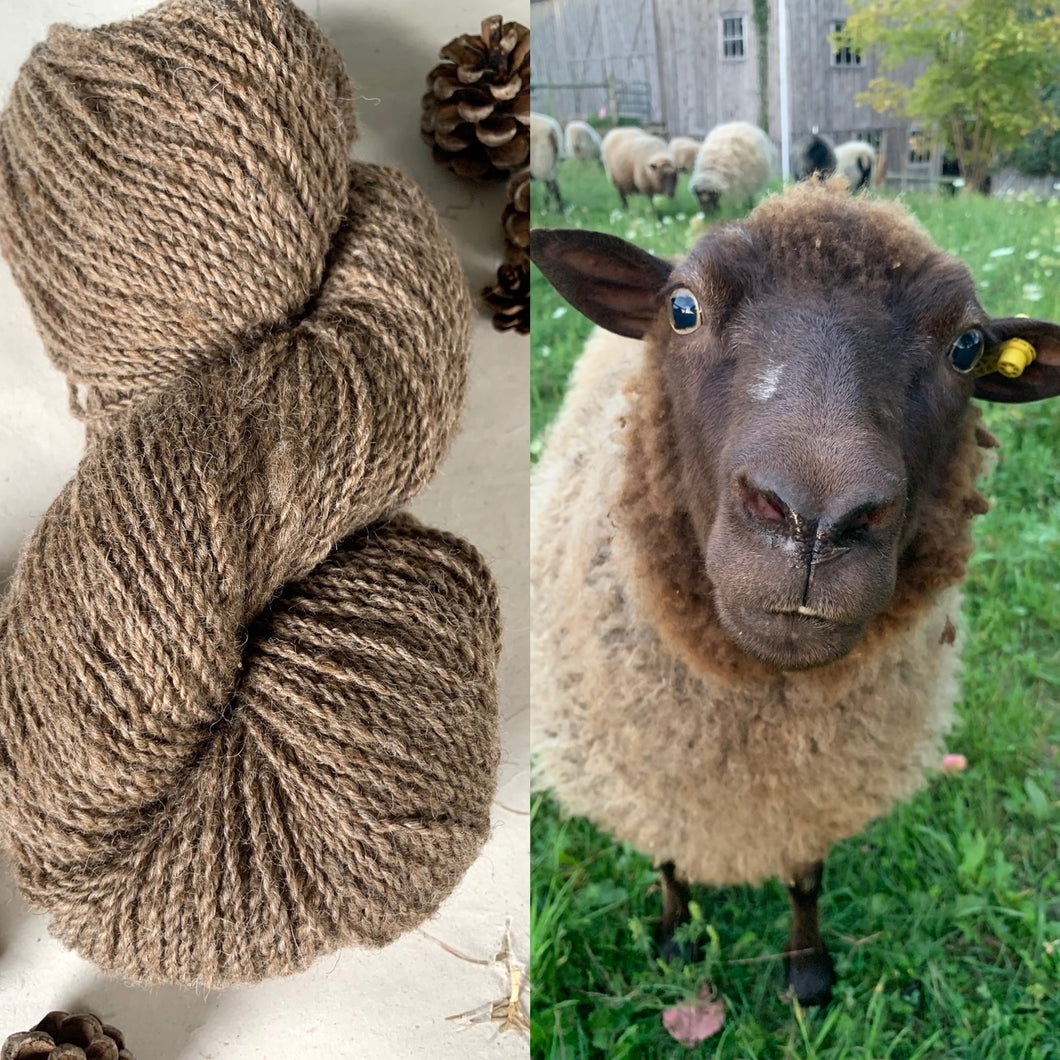 Sheep to Skein with Jodi Horgan Wednesday, May 22nd from 6-8pm