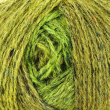 Load image into Gallery viewer, Felted Tweed Colour
